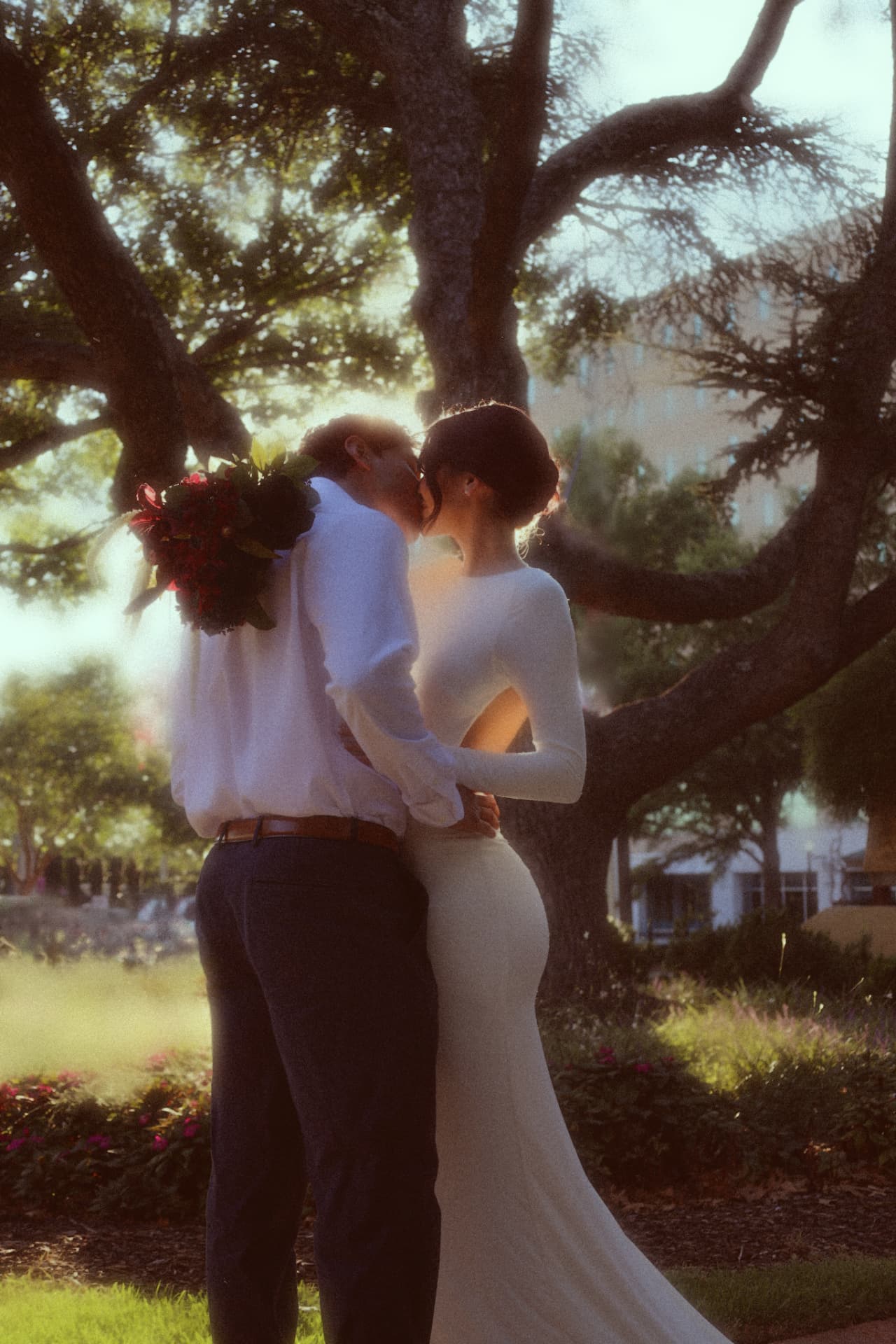 Backlit couple kissing beneath sweeping oak branches at golden hour